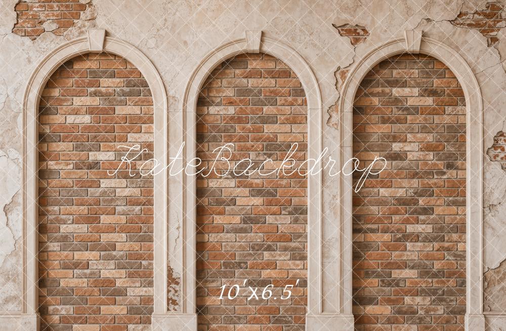 TEST Kate Vintage Brick Arched Wall Printed Backdrop Designed by Emetselch