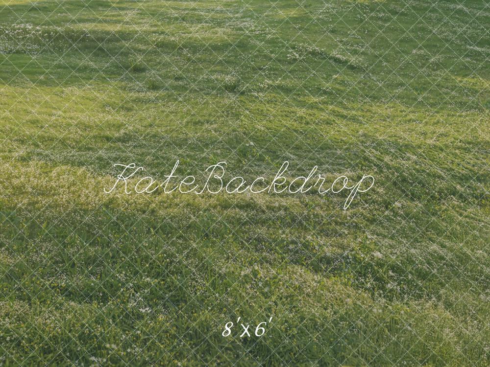 Fondo de Piso de Césped Verde de Luz Solar Diseñado por Kate Image