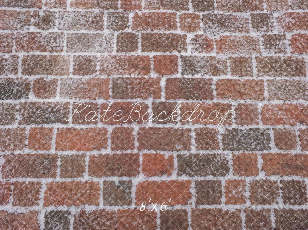 Kate Snowy Red Brick Wall Printed Backdrop Designed by Vertigo Productions