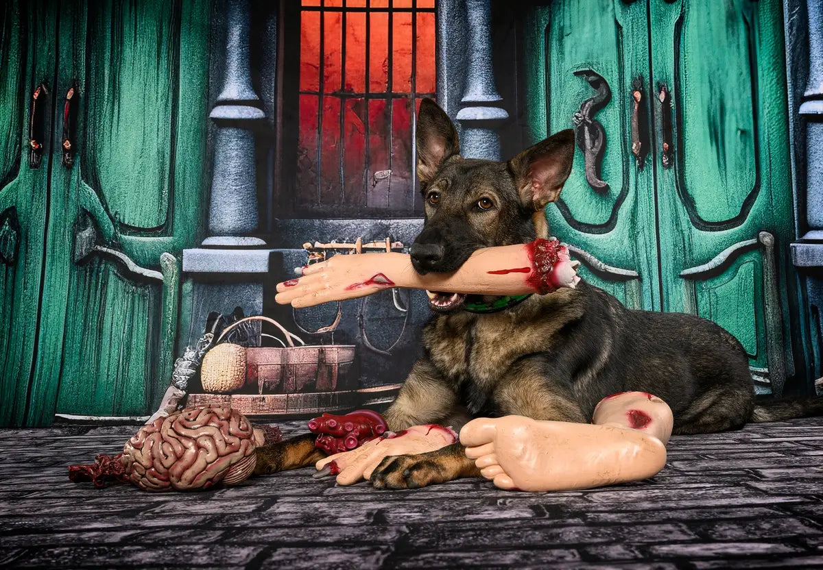 Halloween Green Door Street Pumpkin Backdrop Progettato da GQ