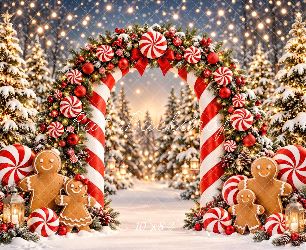 Kate Christmas Candy Cane Arch Gingerbread Snowy Forest Printed Backdrop Designed by Emetselch