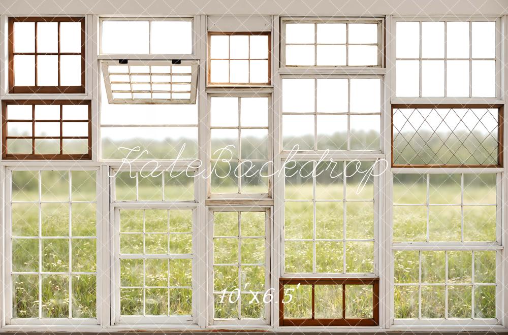 Kate Vintage Window Pane Field Printed Backdrop Designed by Mini MakeBelieve