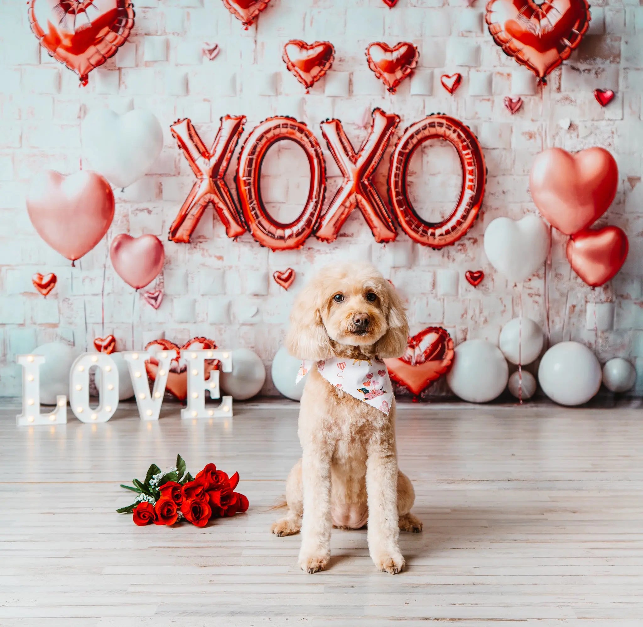 Kate Valentine's Day Pink Heart Balloon Backdrop Designed by Emetselch