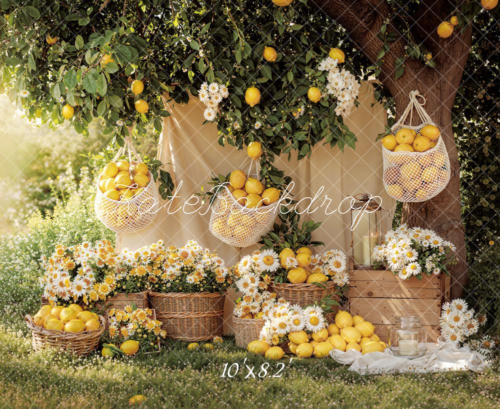 Kate Summer Lemons Baskets Daisy Flowers Picnic Garden Printed Backdrop Designed by Emetselch