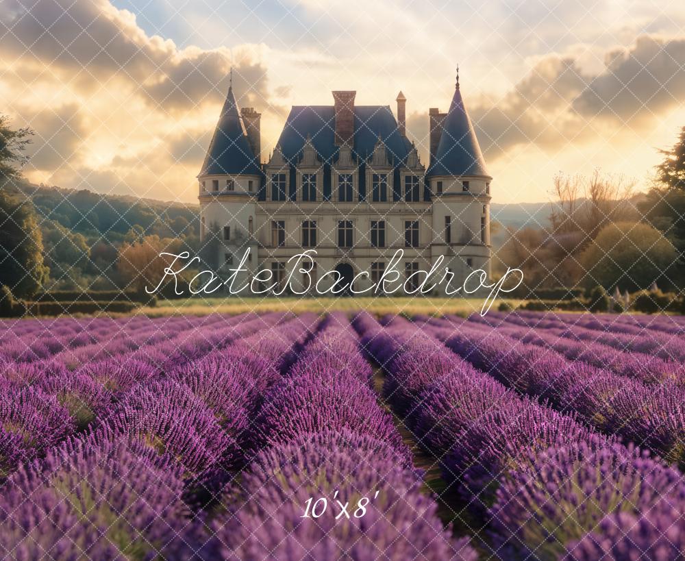 Campo di lavanda da sogno castello sfondo Designed by Emetselch