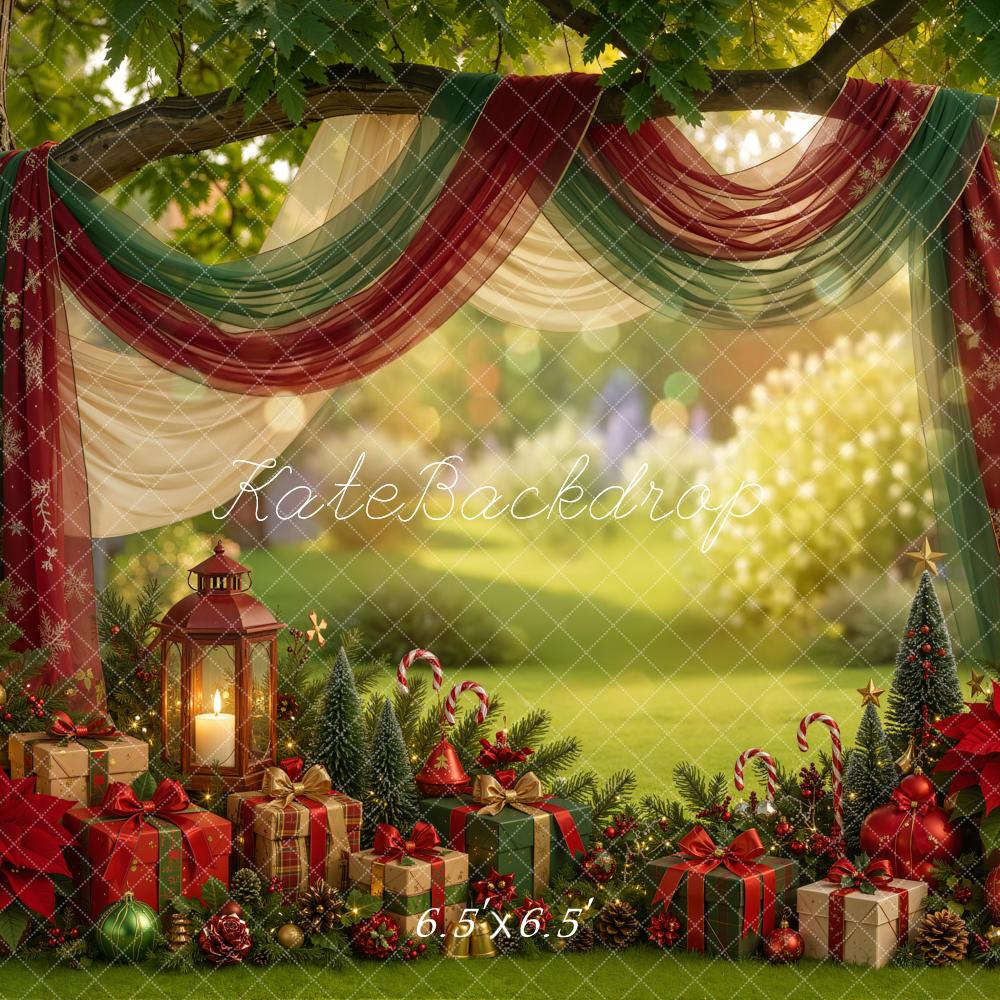 Kate Christmas Summer Outdoor Draped Arch Gifts Lanterns Printed Backdrop Designed by Emetselch