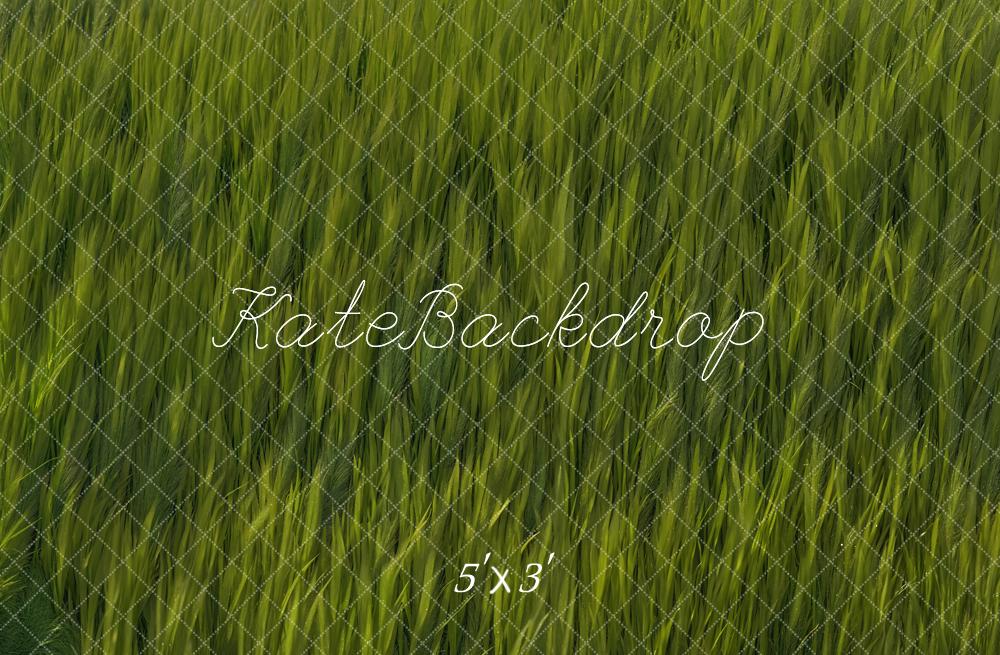 Voorjaar Groen Gras Veld Foto Achtergrond Designed by Kate Image