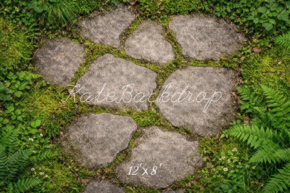Kate Cobblestone Path With Ferns And Grass Floor Printed Backdrop Designed by Vertigo Productions