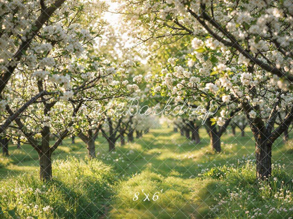 Kate Spring Blossom Orchard Pathway Backdrop Designed by Emetselch