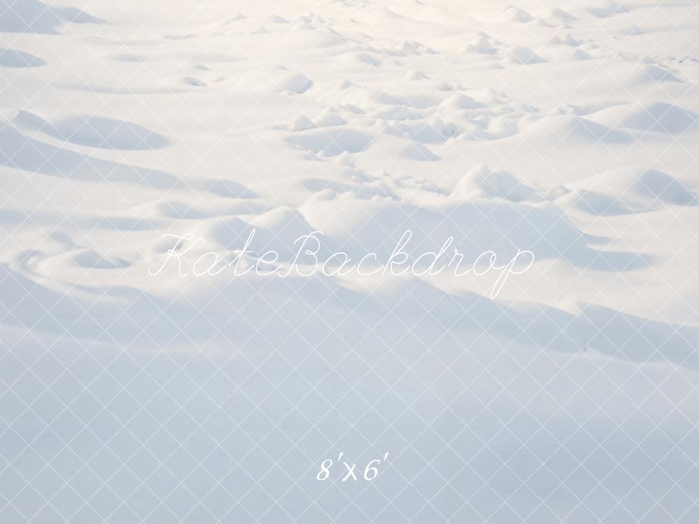 Winter Outdoor Sneeuw Vloer Foto Achtergrond 