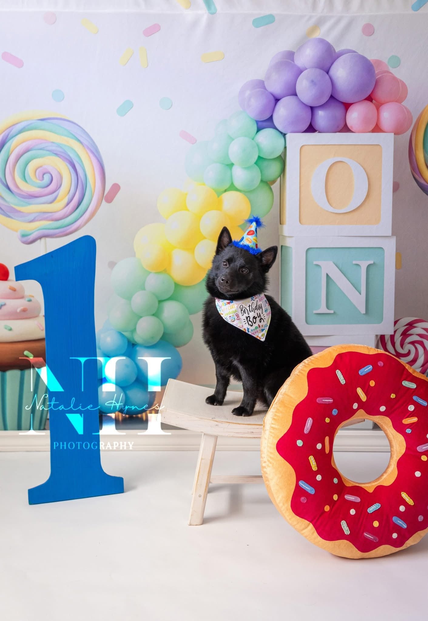Kate Cake Smash Pastel Balloons Lollipop Macaron Cupcake One Blocks Printed Backdrop Designed by Patty Roberts