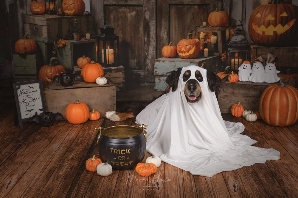 Kate Halloween Pumpkin Door Backdrop Designed by Chain Photography