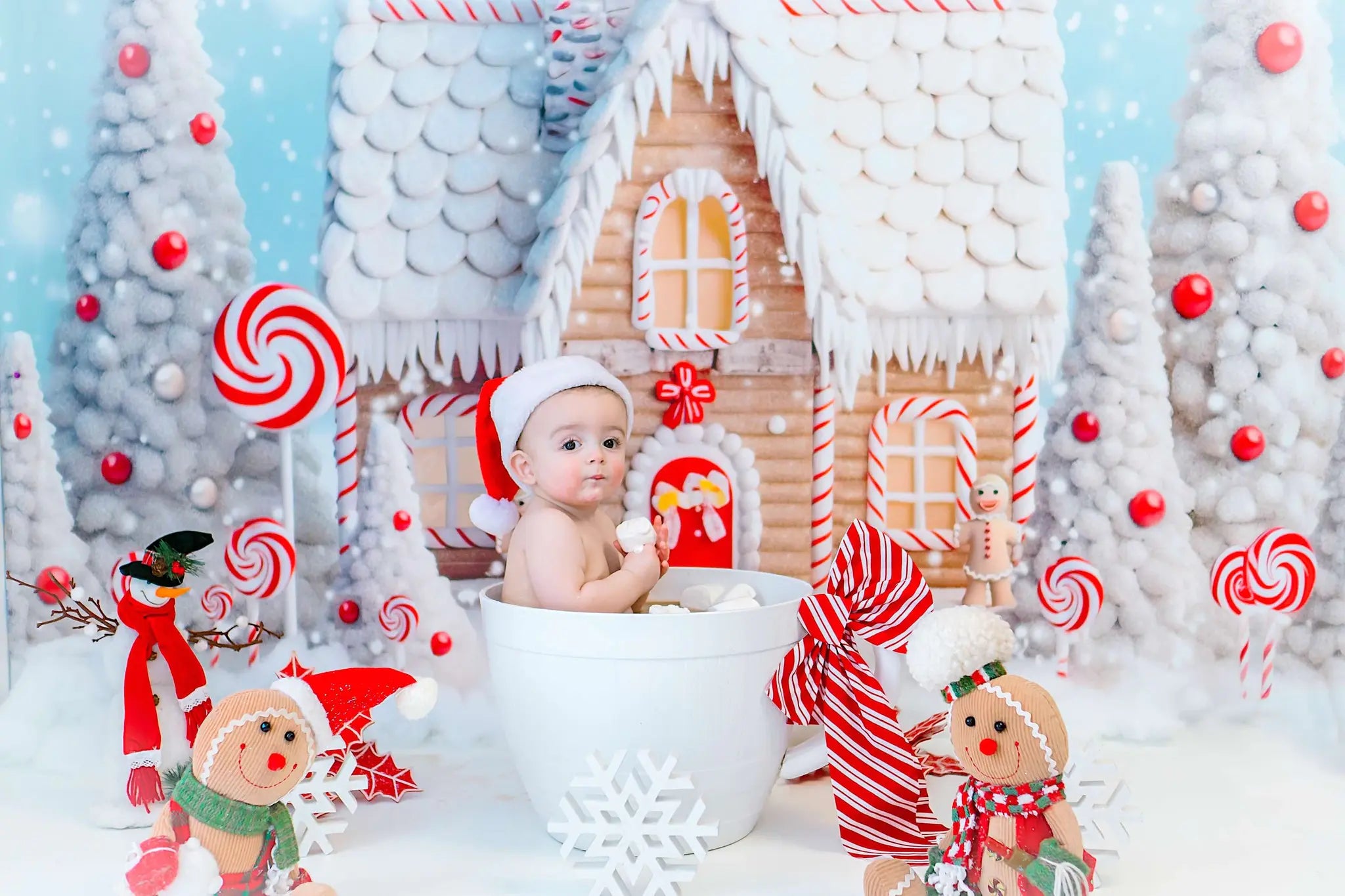 Decoración de patio trasero de casa de caramelo de invierno de navidad de Kate diseñada por Chain Photography