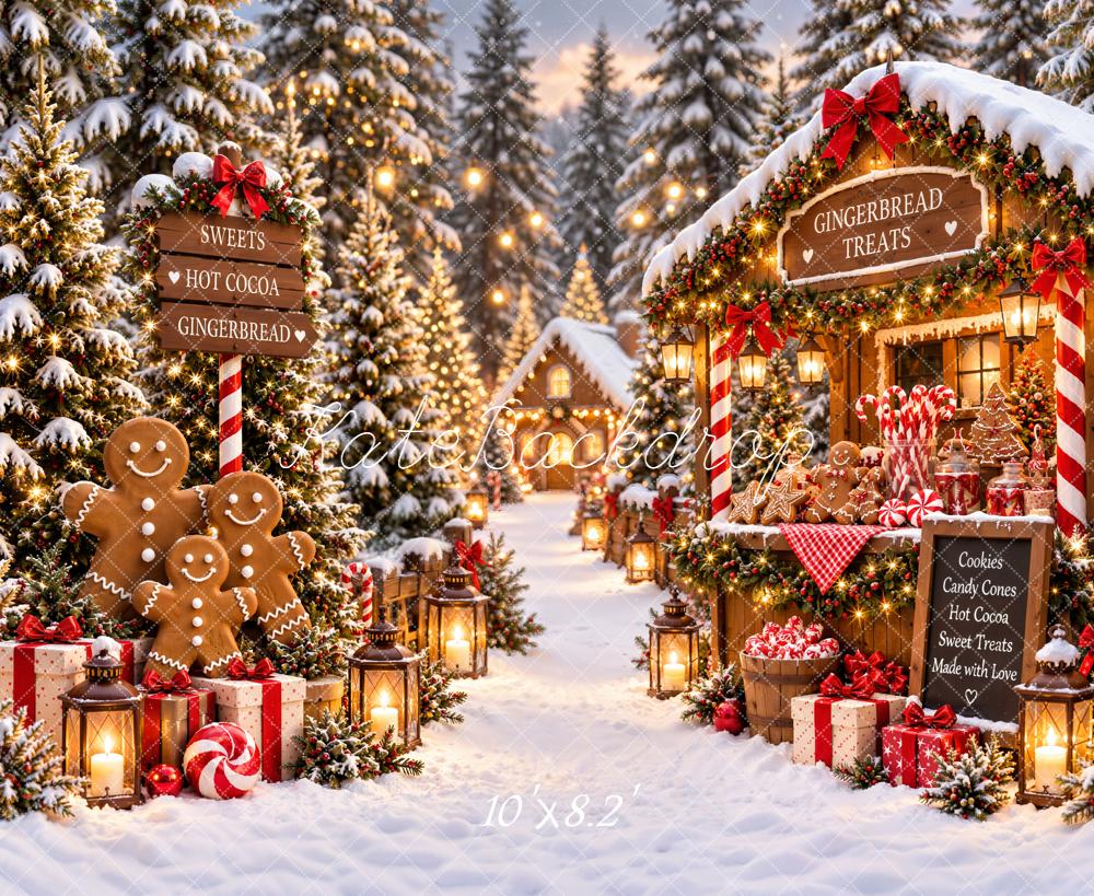 Kate Christmas Gingerbread House Village Snowy Printed Backdrop Designed by Emetselch