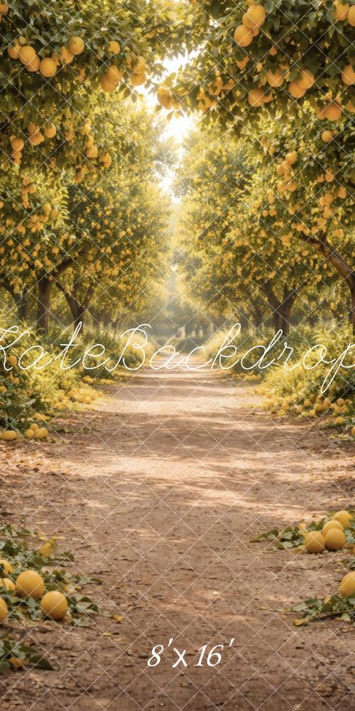 Kate Sweep Lemon Orchard Dirt Pathway Printed Backdrop Designed by Vertigo Productions