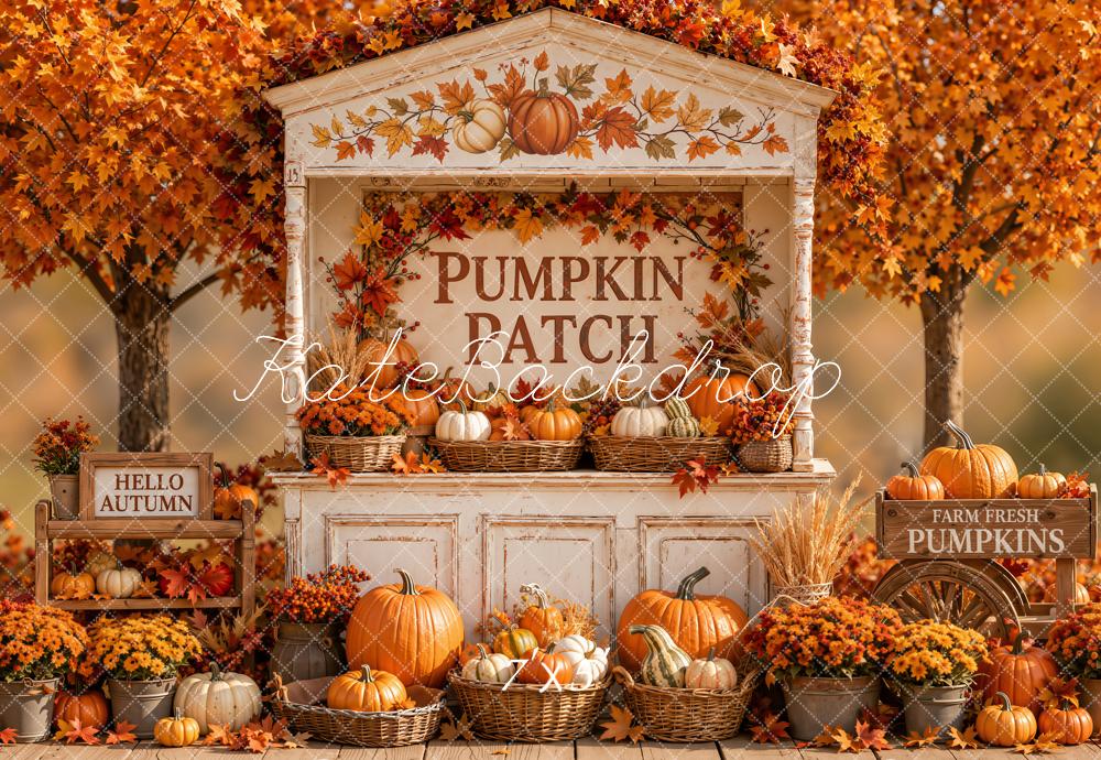 Kate Fall Pumpkin Patch Harvest Maple Tree Printed Backdrop Designed by Emetselch