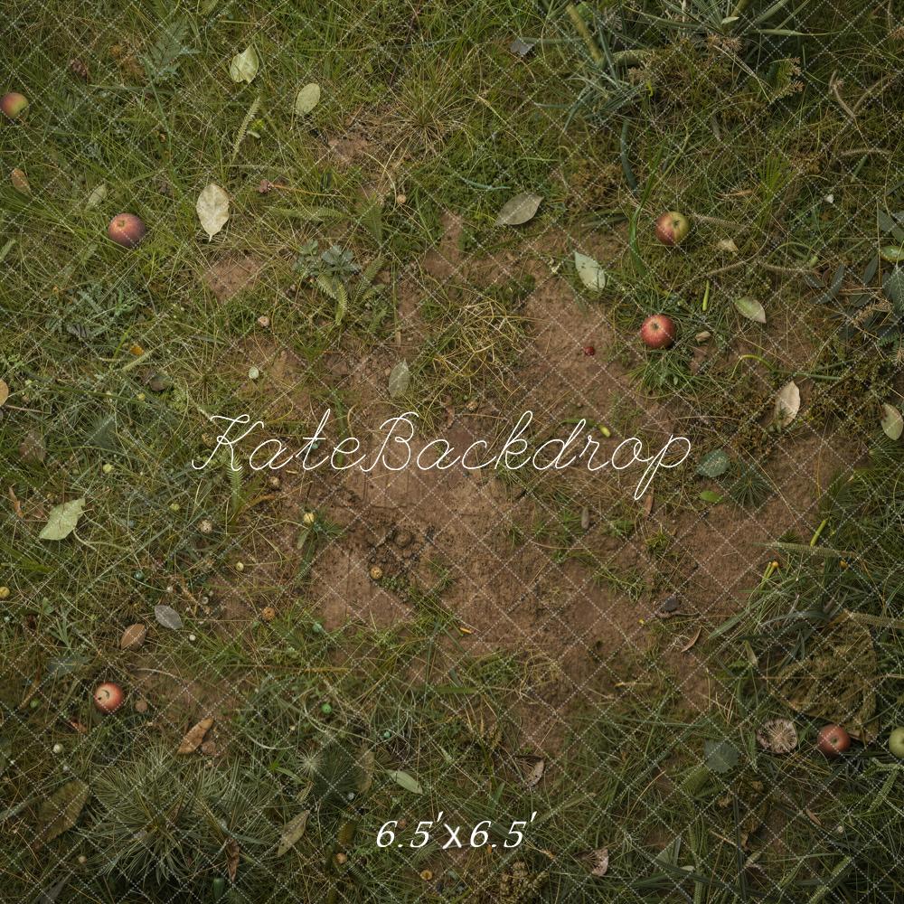 Kate Fall Fallen Apples On Grass And Dirt Floor Printed Backdrop Designed by Ashley Ward