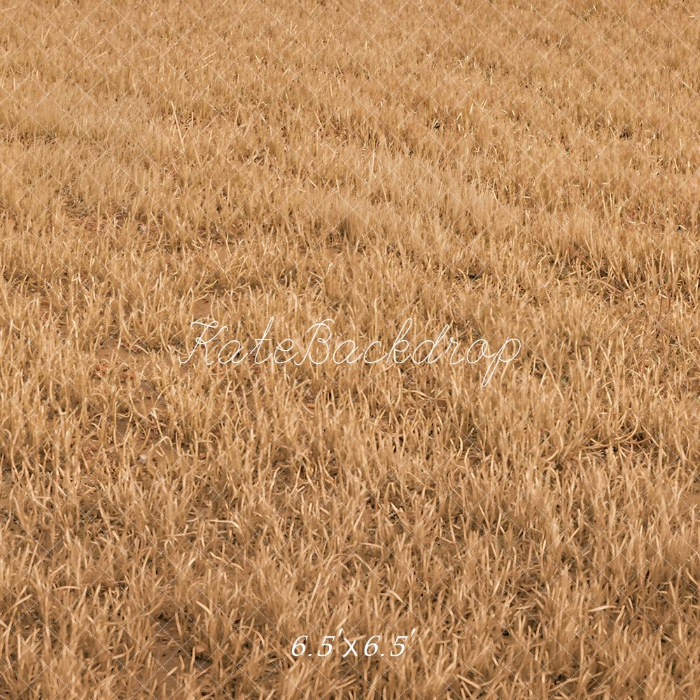 Kate Fall Withered Grass Field Floor Printed Backdrop Designed by Kate Image