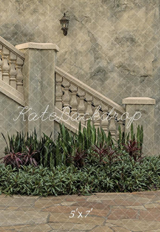 Vintage Architectuur Steen Trappen Planten Foto Achtergrond Designed by Michele Ernst Photography