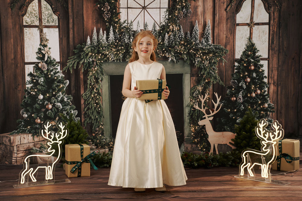 RTS Kate Christmas Fireplace Photo Kit Photography Backdrops&Props Themed Bundle