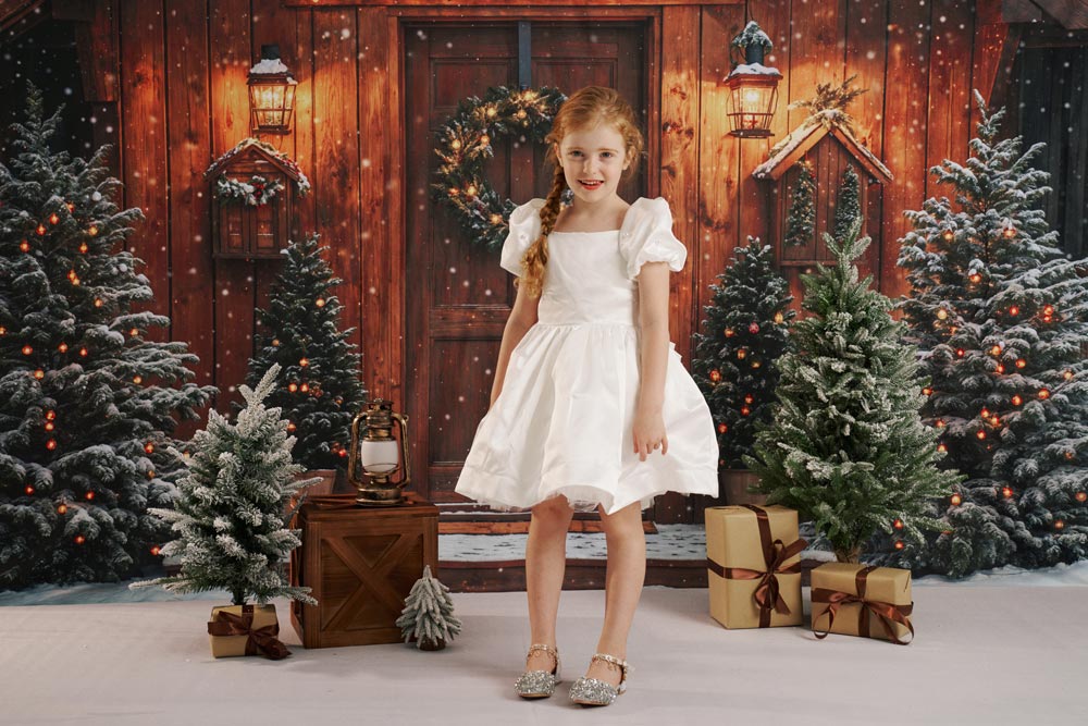 RTS Kate Christmas Log House Photo Kit Photography Backdrops&Props Themed Bundle