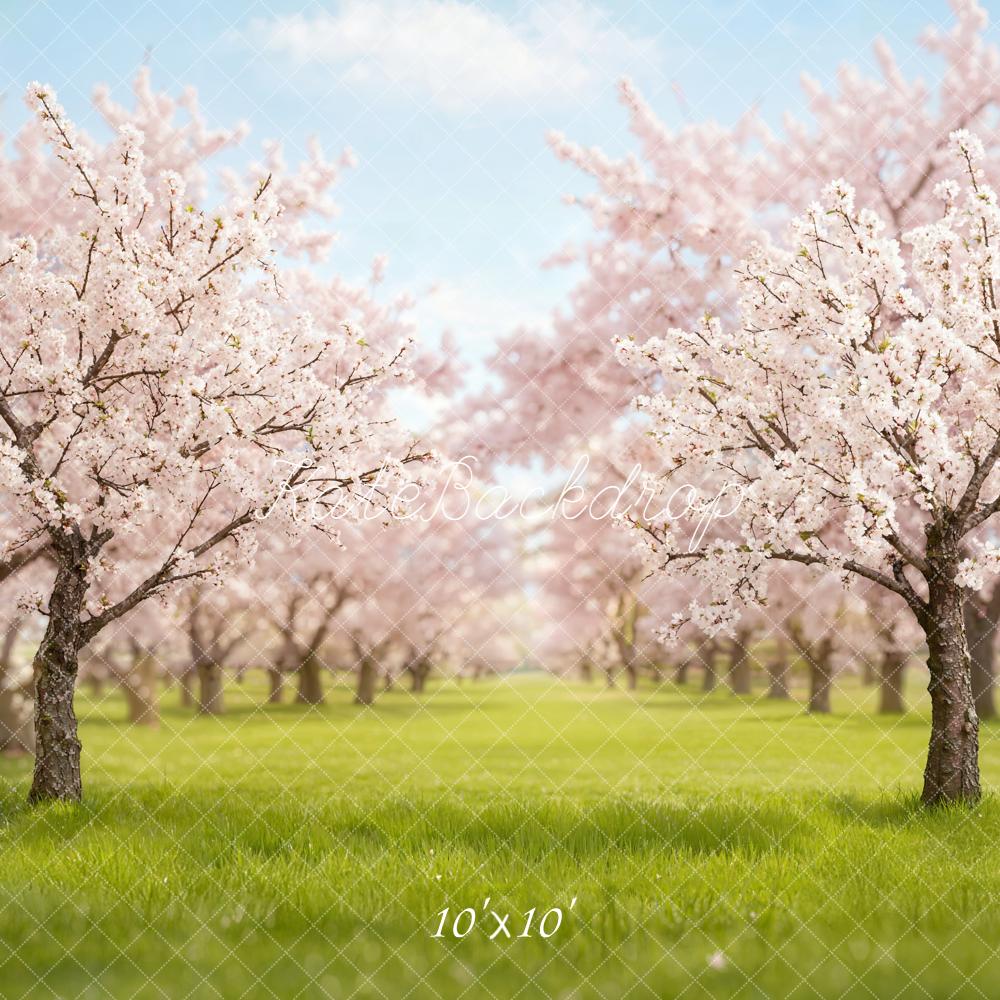 TEST Kate Spring Cherry Blossom Orchard in Spring Backdrop Designed by Emetselch