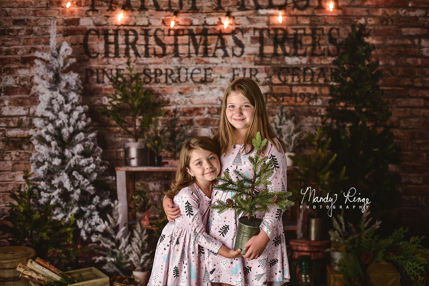 Kate Christmas Farm Fresh Tree Backdrop Designed by Mandy Ringe Photography (only ship to Canada)