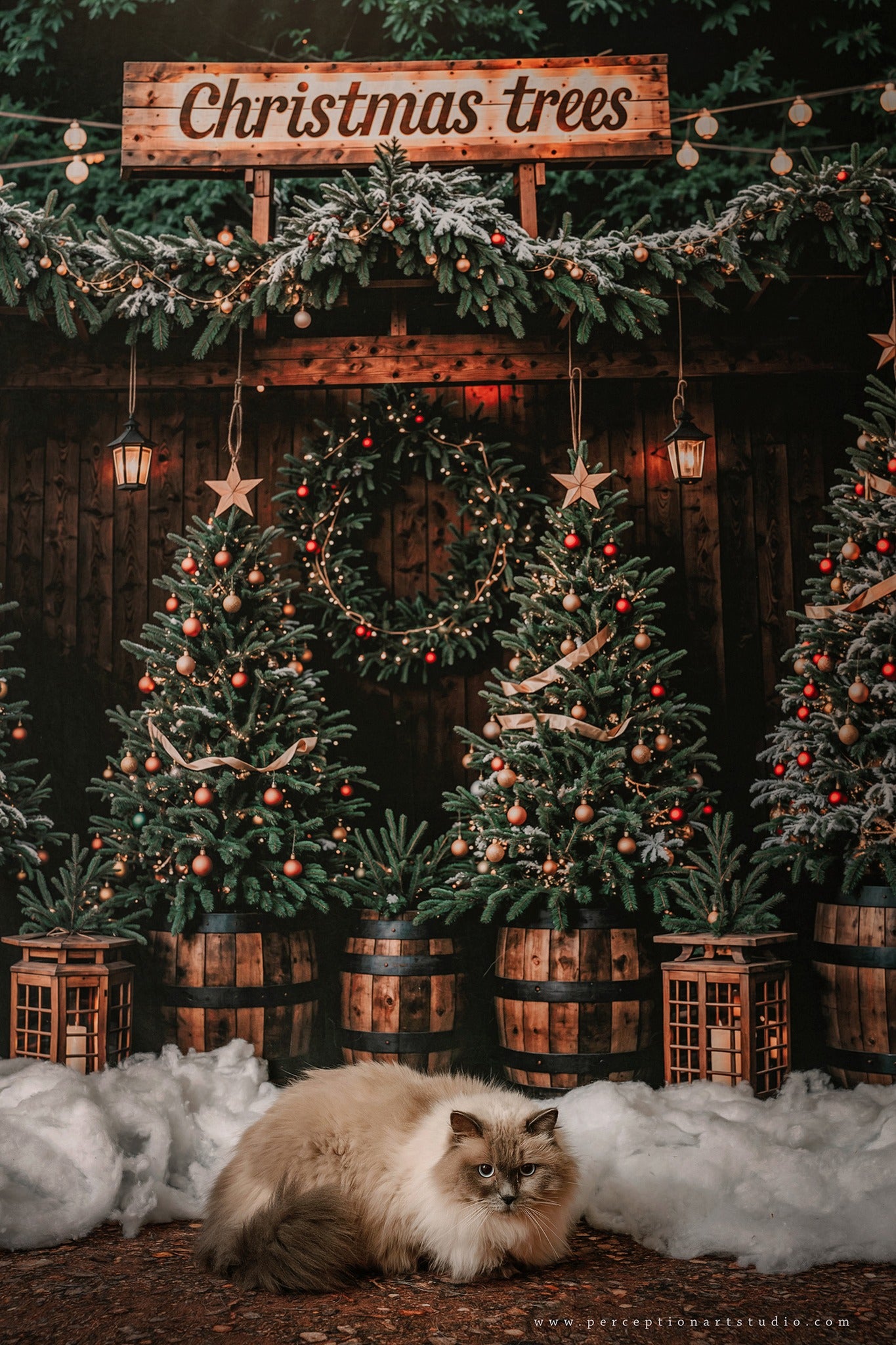 Kate Winter Dark Green Christmas Tree Forest Backdrop Designed by Emetselch