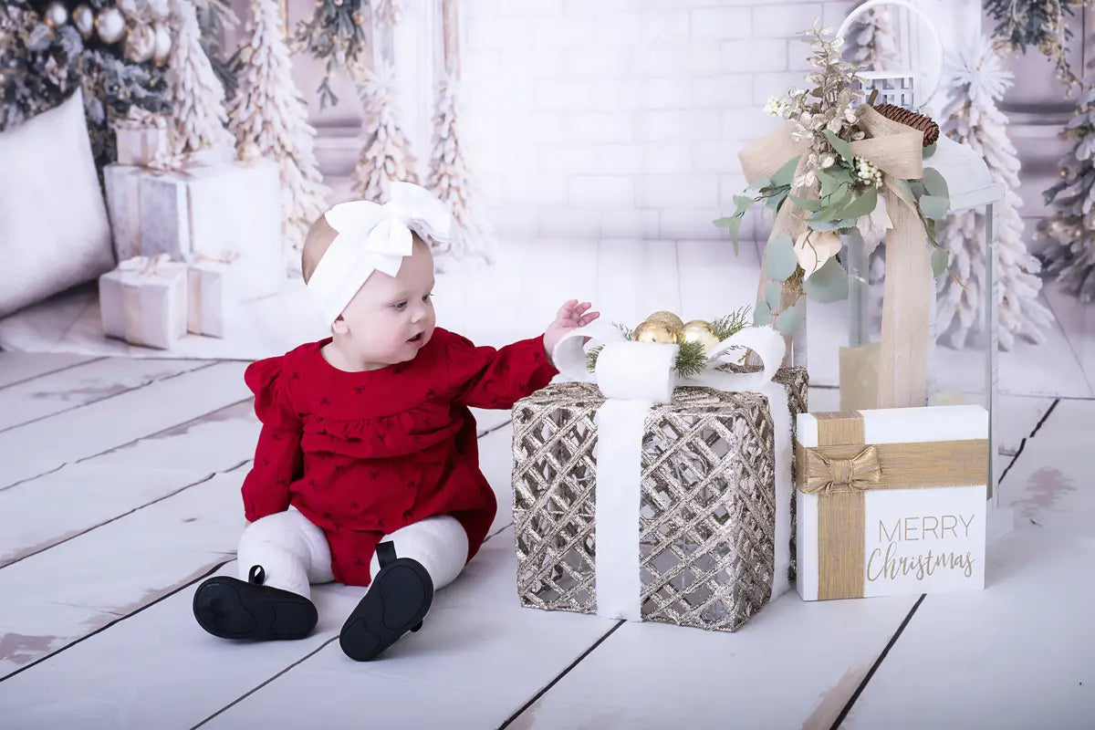 Kate Christmas White Window Wreath Backdrop Designed by Emetselch