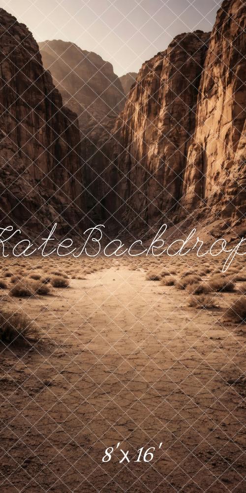 Kate Sweep Desert Canyon Brown Mountains Printed Backdrop Designed by Vertigo Productions