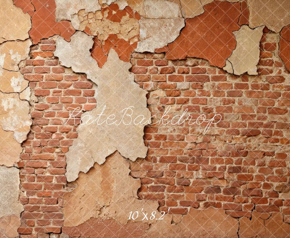 Kate Vintage Brick Wall Peeling Plaster Backdrop Designed by Mini MakeBelieve