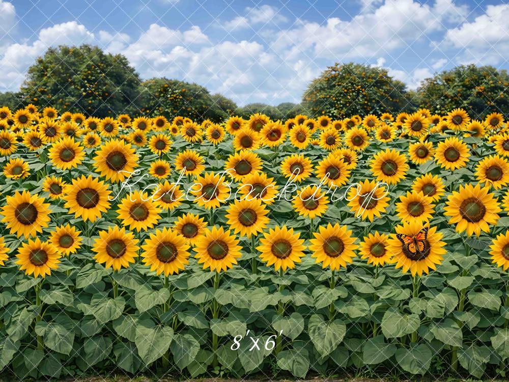 Kate Fall Sunflower Field Sky Printed Backdrop Designed by Mini MakeBelieve