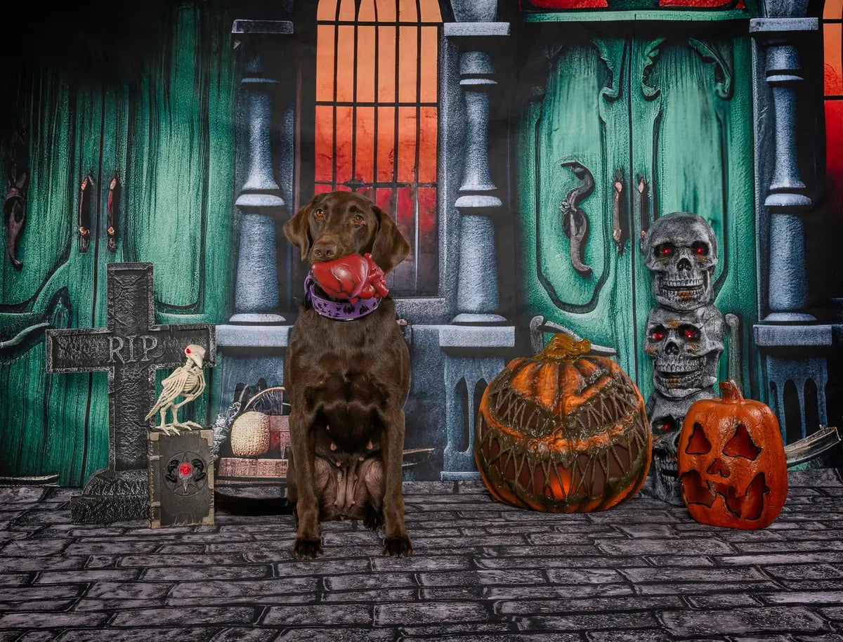 Halloween Green Door Street Pumpkin Backdrop Progettato da GQ