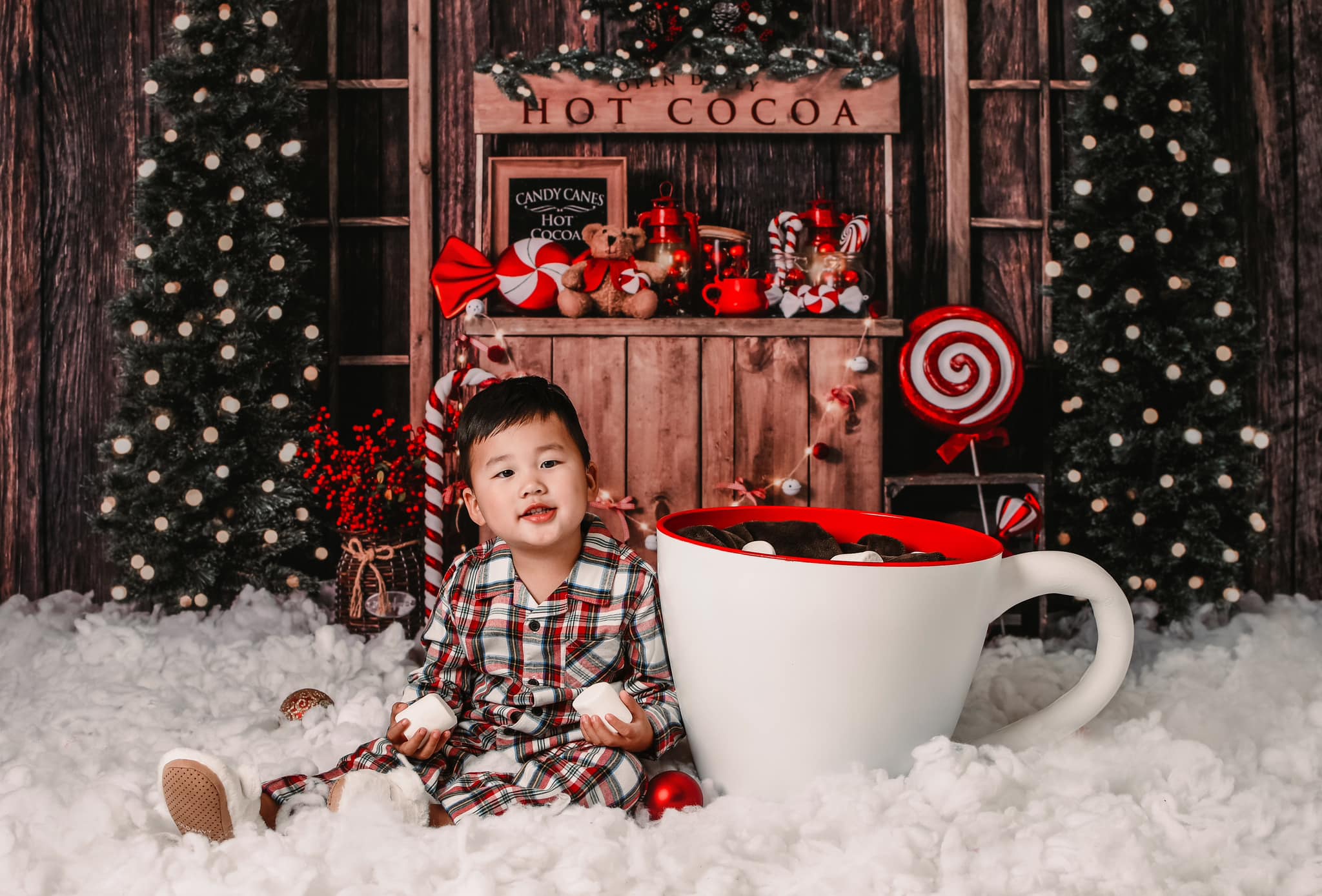 RTS Kate Christmas Tree Backdrop Winter Hot Cocoa Designed by Emetselch