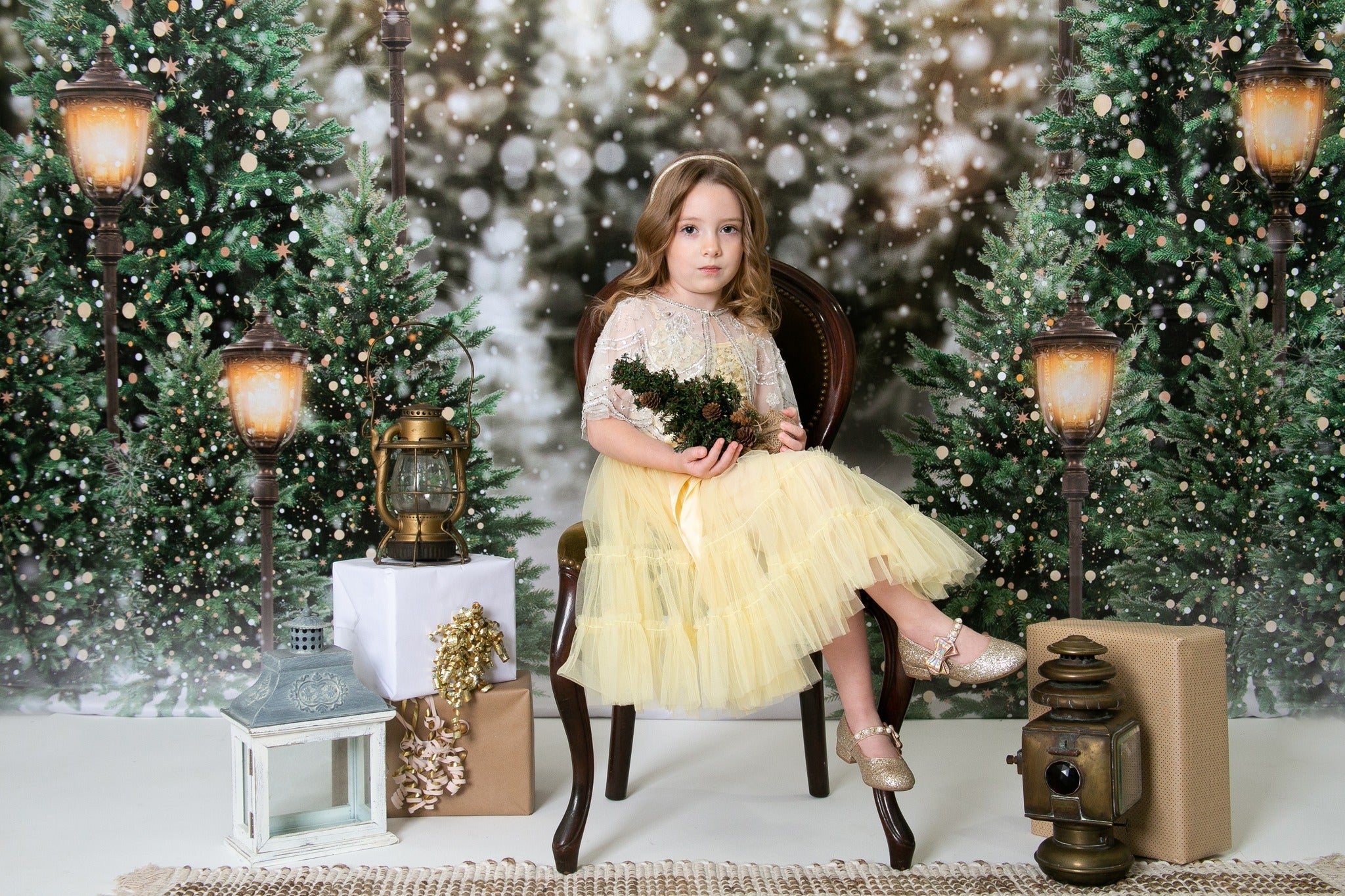RTS Kate Christmas Snow Forest Lights Backdrop for Photography