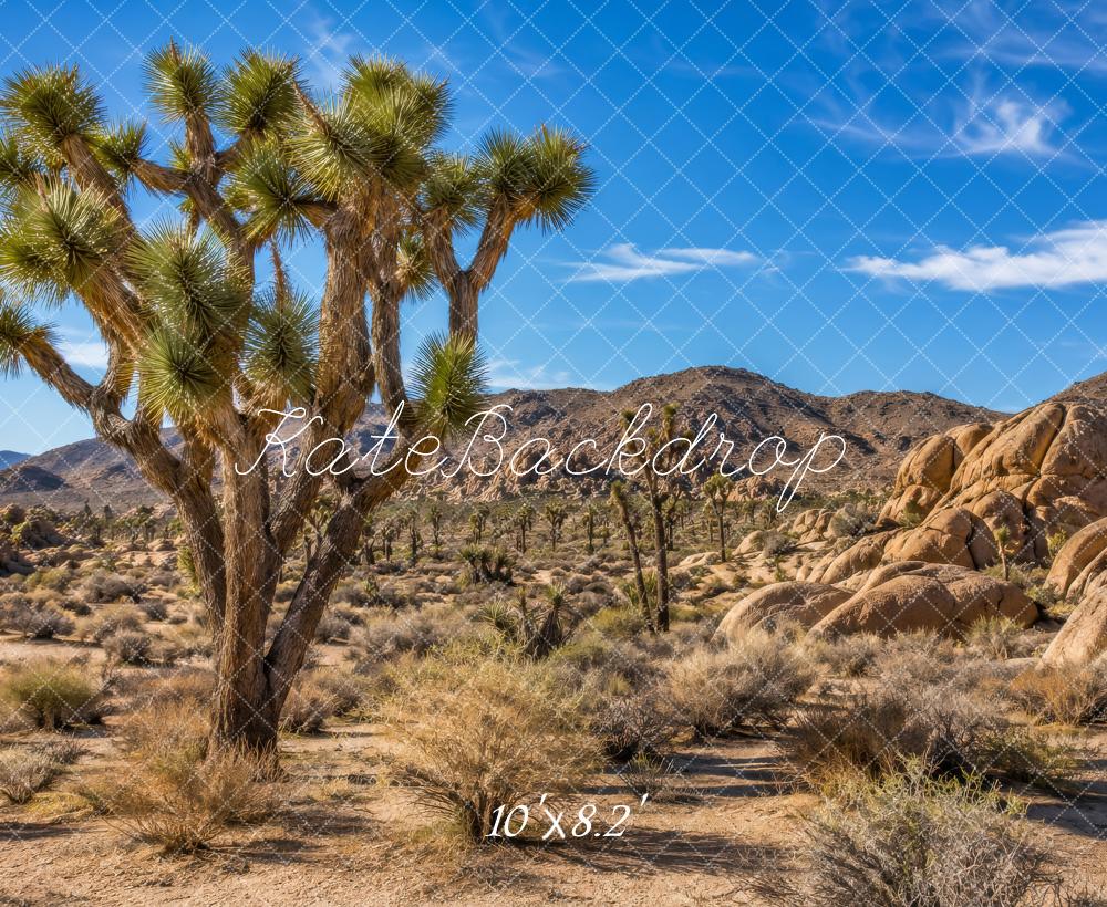 Kate Nature Joshua Tree Desert Landscape Outdoor Printed Backdrop Designed by Megan Leigh Photography