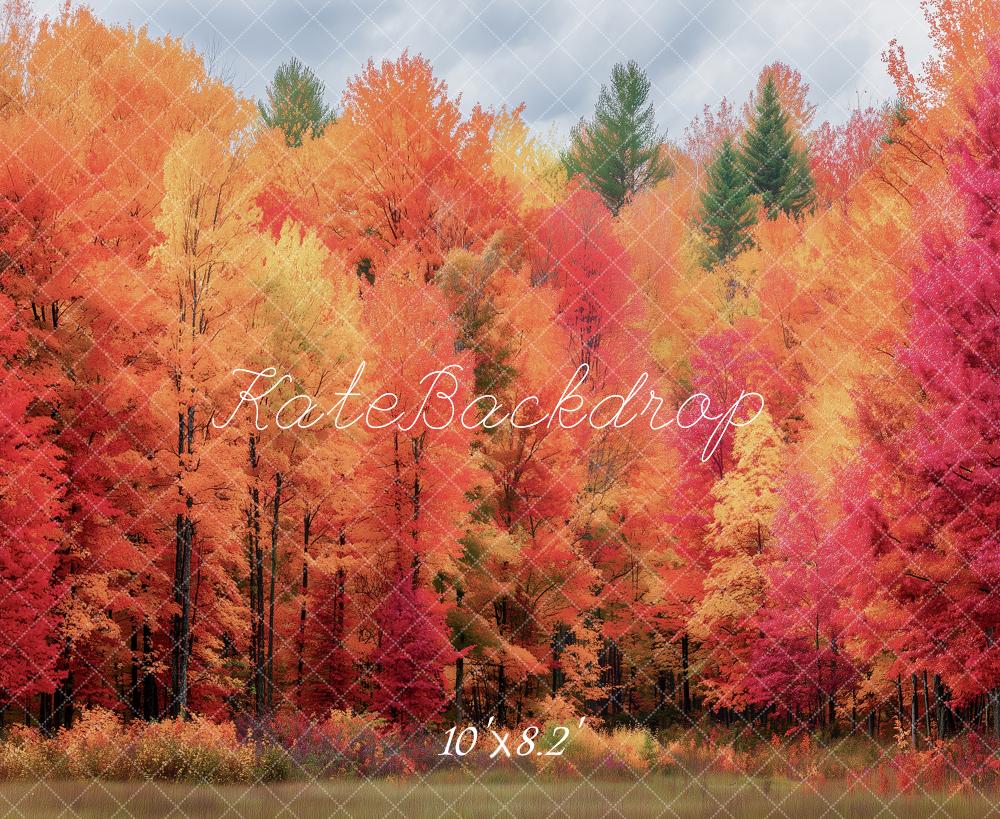 Kate Fall Orange Red Forest Trees Printed Backdrop Designed by Angela Miller