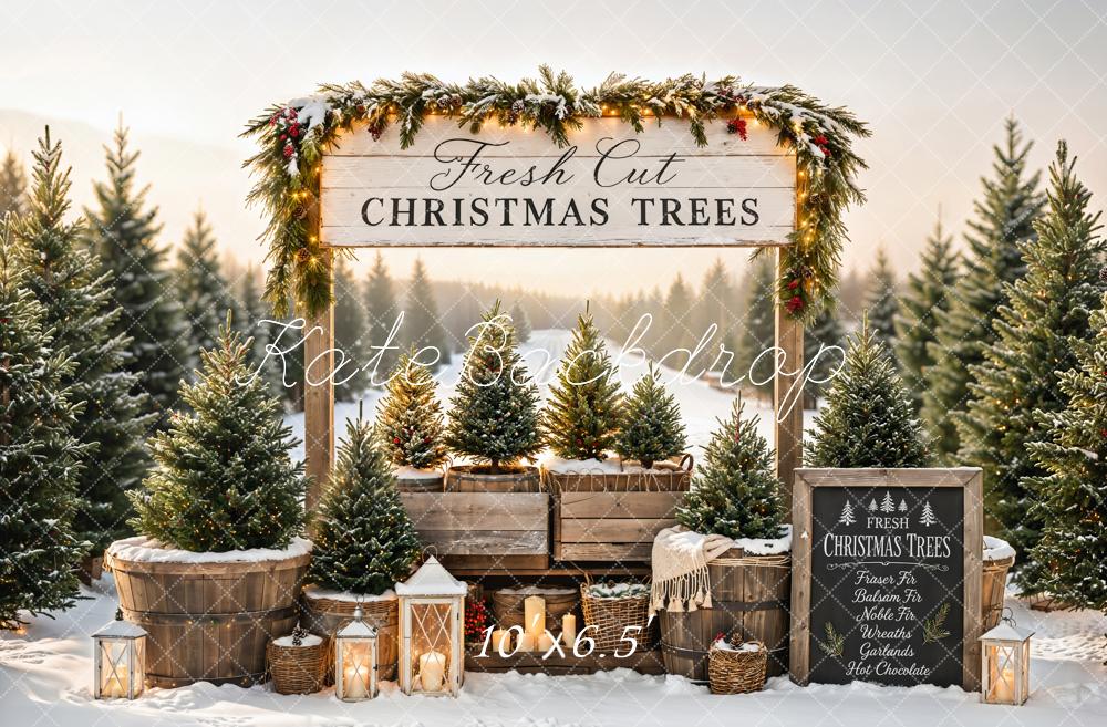 Kate Christmas Trees Stand Snowy Path Printed Backdrop Designed by Emetselch