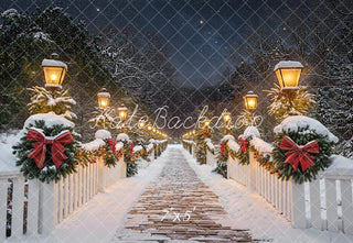 Kate Christmas Winter Path Snowy Bridge Garland Lanterns Printed Backdrop Designed by Emetselch