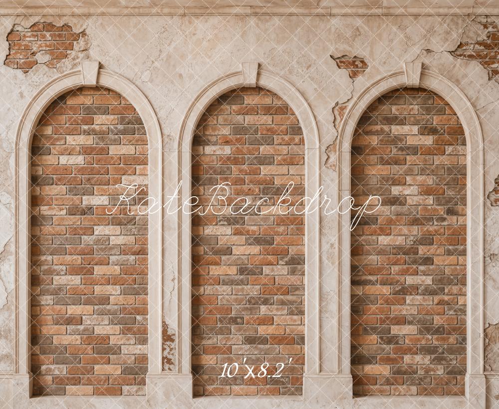 TEST Kate Vintage Brick Arched Wall Printed Backdrop Designed by Emetselch