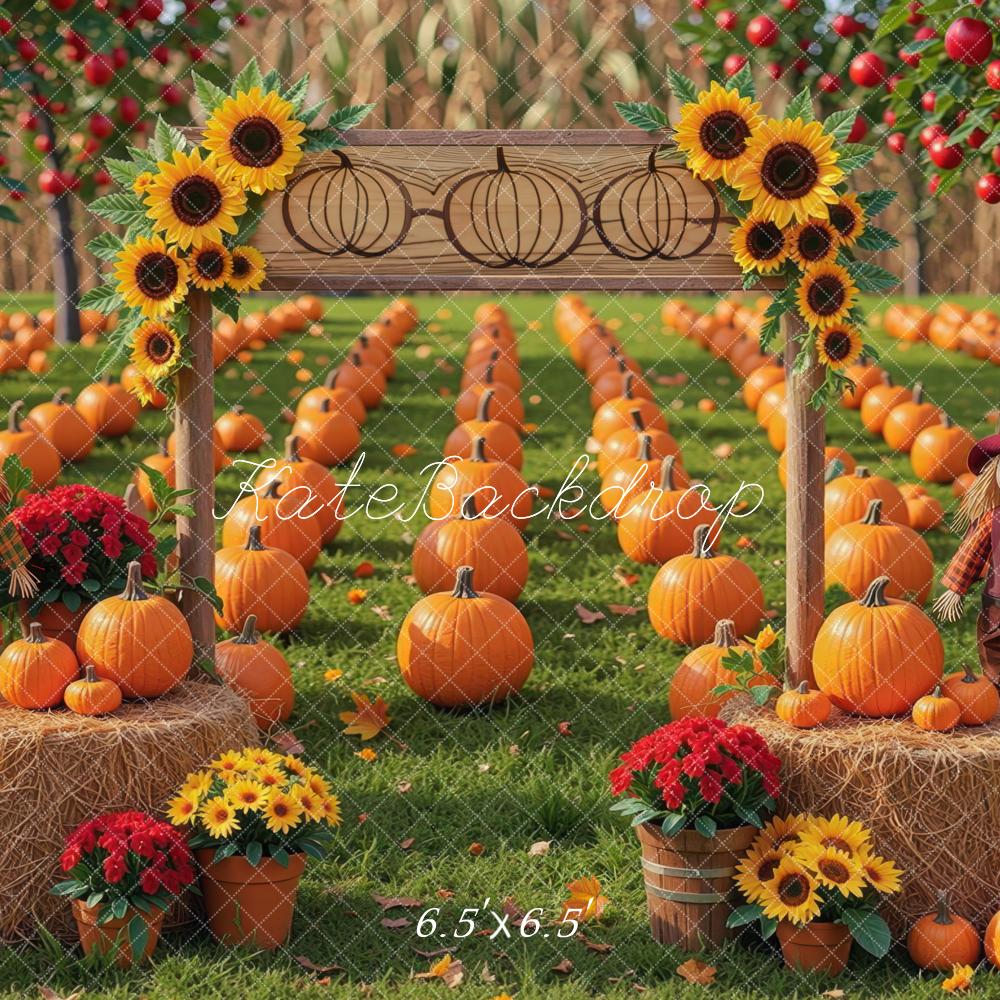 Kate Fall Pumpkin Field Sunflowers Scarecrows Hay Bales Printed Backdrop Designed by Mini MakeBelieve