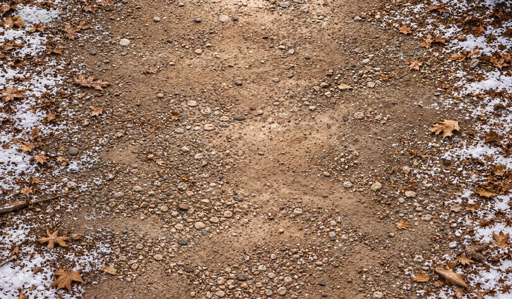 Kate Winter Snowy Dirt Path Withered Leaves Floor Printed Backdrop Designed by Kate Image