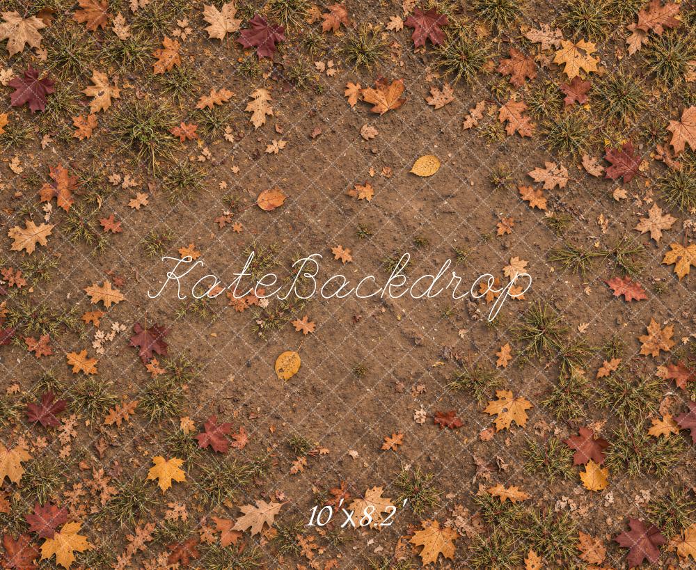 Kate Fall Leaves Grass Ground Floor Printed Backdrop Designed by Emetselch
