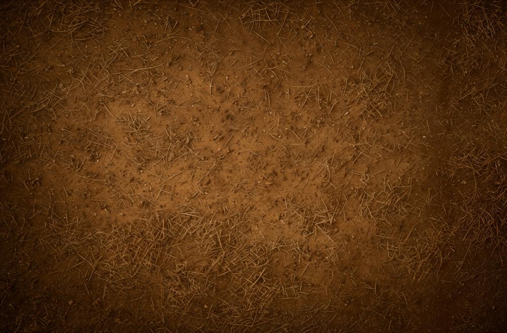Kate Abstract Brown Dirt Ground Texture Floor Backdrop Designed by Emetselch