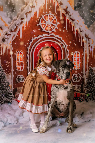 Kate Christmas Gingerbread Houses Snowy Printed Backdrop Designed by Emetselch