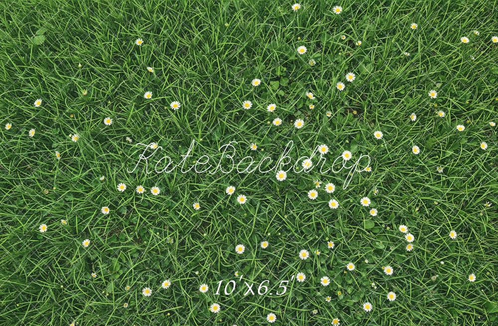 Kate Green Grass Daisy Flowers Floor Backdrop Designed by Kate Image
