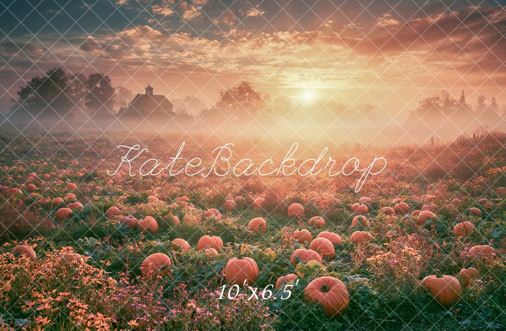 Kate Fall Outside Pumpkin Field Sunrise Printed Backdrop Designed by Angela Miller