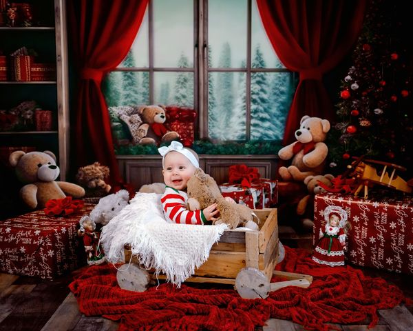 Kate Christmas Room Teddy Bear Windows Backdrop Designed by Chain Photography