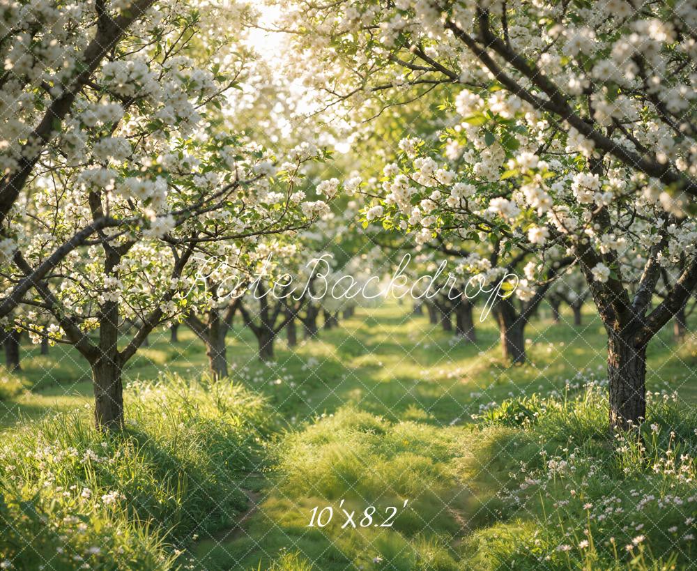 Kate Spring Blossom Orchard Pathway Backdrop Designed by Emetselch