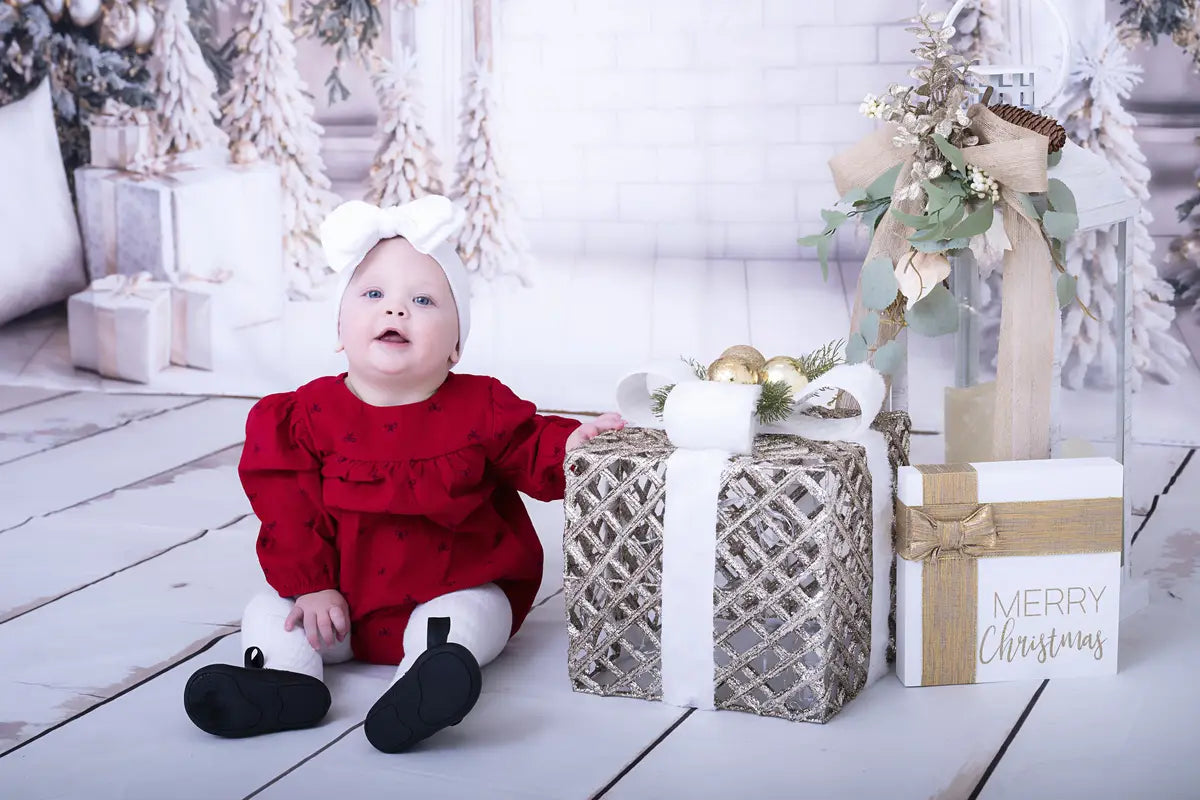 Kate Christmas White Window Wreath Backdrop Designed by Emetselch